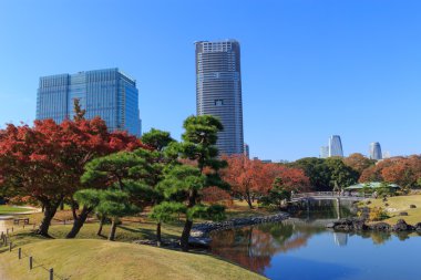 Hamarikyu bahçeleri, Tokyo sonbahar yaprakları