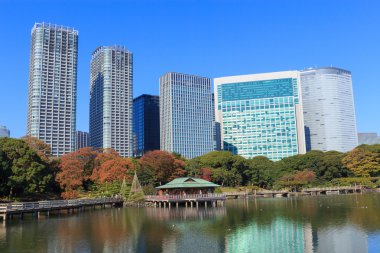 Hamarikyu bahçeleri, Tokyo sonbahar yaprakları