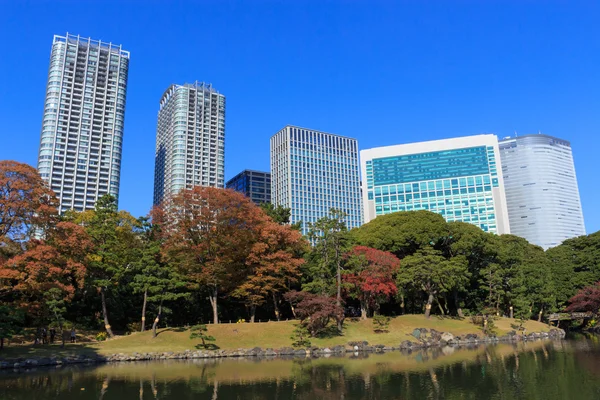 Folhas de outono em Hamarikyu Gardens, Tokyo — Fotografia de Stock