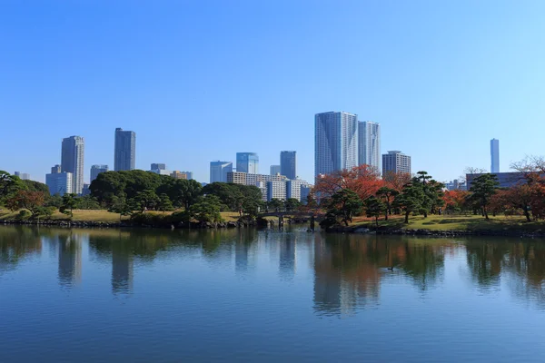 Jesienne liście w ogrody Hamarikyu, Tokio — Zdjęcie stockowe