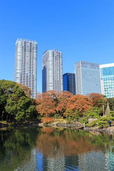 Foglie autunnali nei Giardini Hamarikyu, Tokyo — Foto Stock