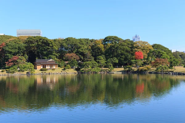 Φθινοπωρινά φύλλα στο Hamarikyu Gardens, Τόκιο — Φωτογραφία Αρχείου