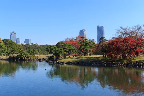 Foglie autunnali nei Giardini Hamarikyu, Tokyo — Foto Stock