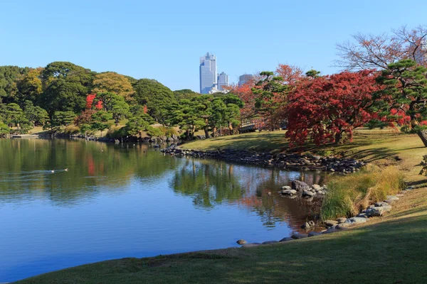 Hamarikyu bahçeleri, Tokyo sonbahar yaprakları
