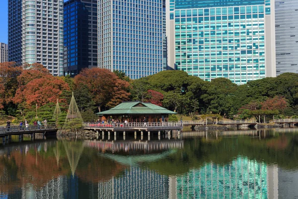 Foglie autunnali nei Giardini Hamarikyu, Tokyo — Foto Stock
