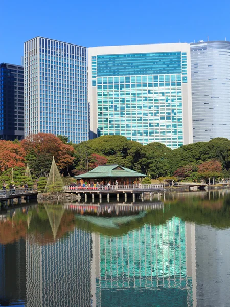 Herfstbladeren in Hamarikyu tuinen, Tokyo — Stockfoto