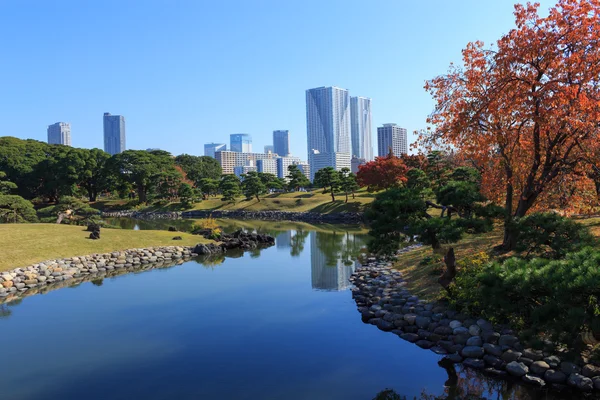 Jesienne liście w ogrody Hamarikyu, Tokio — Zdjęcie stockowe