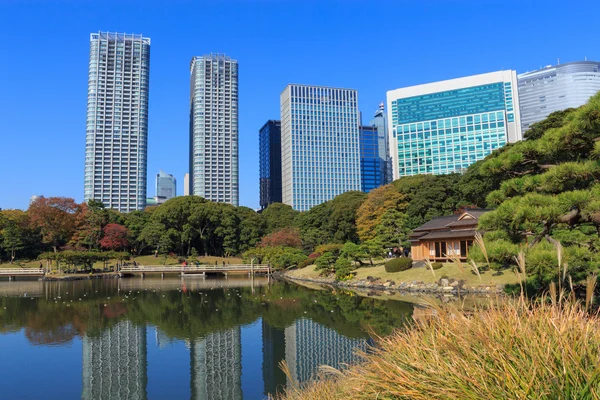 Herfstbladeren in Hamarikyu tuinen, Tokyo — Stockfoto