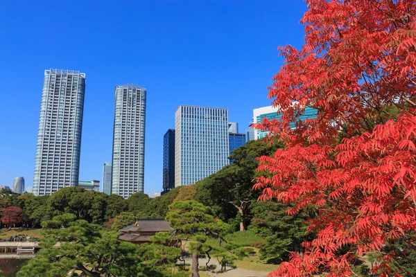 Foglie autunnali nei Giardini Hamarikyu, Tokyo — Foto Stock