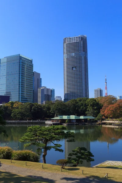 Foglie autunnali nei Giardini Hamarikyu, Tokyo — Foto Stock