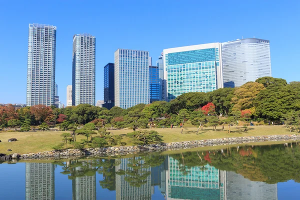 하 마리 큐 정원, 도쿄에서 단풍 — 스톡 사진