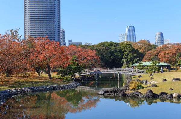 Autumn leaves in Hamarikyu Gardens, Tokyo — Stock Photo, Image