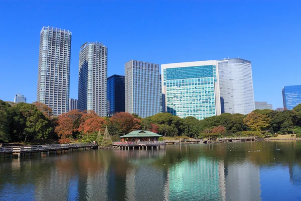 Podzimní listí v parku Hamarikyu Gardens, Tokio — Stock fotografie