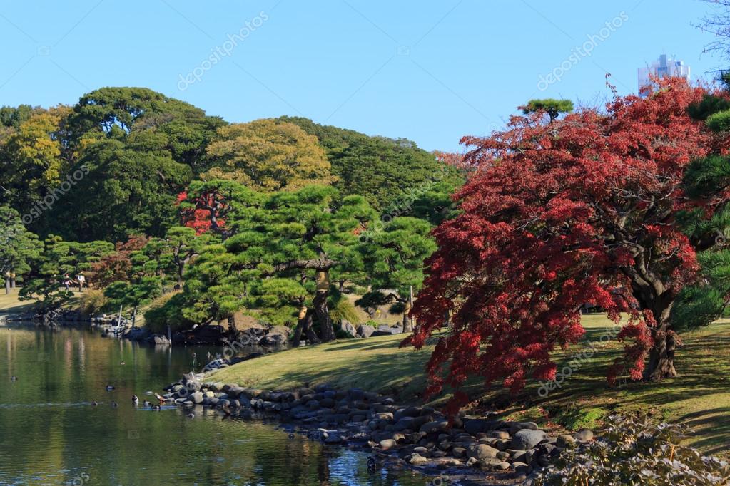 Autumn Leaves In Hamarikyu Gardens Tokyo Stock Photo C Hiro1775 Autumn Leaves In Hamarikyu Gardens Tokyo Stock Photo C Hiro1775