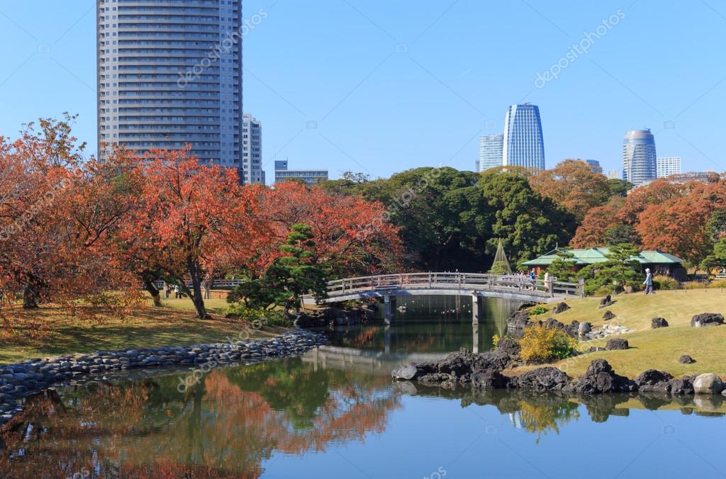 Autumn Leaves In Hamarikyu Gardens Tokyo Stock Photo Image By C Hiro1775 Autumn Leaves In Hamarikyu Gardens Tokyo Stock Photo Image By C Hiro1775