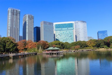 Hamarikyu bahçeleri, Tokyo sonbahar yaprakları