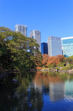 Hamarikyu bahçeleri, Tokyo sonbahar yaprakları