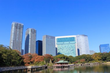 Hamarikyu bahçeleri, Tokyo sonbahar yaprakları