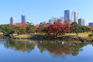 Hamarikyu bahçeleri, Tokyo sonbahar yaprakları