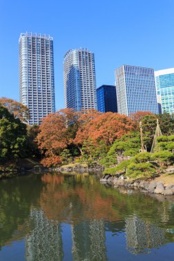 Hamarikyu bahçeleri, Tokyo sonbahar yaprakları