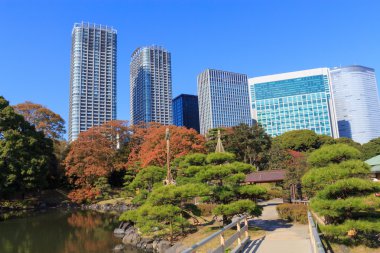 Hamarikyu bahçeleri, Tokyo sonbahar yaprakları
