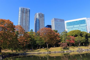 Hamarikyu bahçeleri, Tokyo sonbahar yaprakları