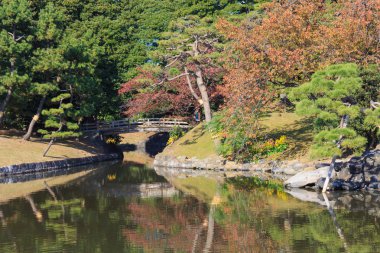 Hamarikyu bahçeleri, Tokyo sonbahar yaprakları
