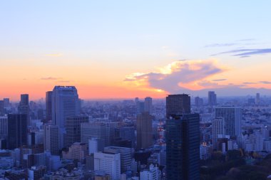 Tokyo at dusk