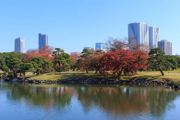 Jesienne liście w ogrody Hamarikyu, Tokio — Zdjęcie stockowe