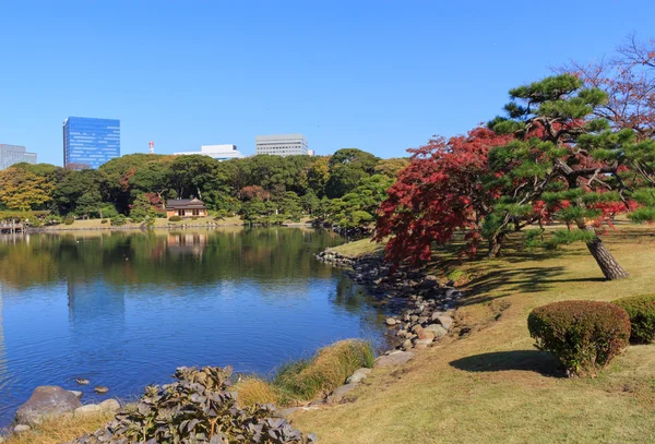 浜離宮恩賜庭園、東京を紅葉します。 — ストック写真