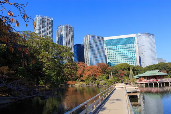 Herfstbladeren in Hamarikyu tuinen, Tokyo — Stockfoto