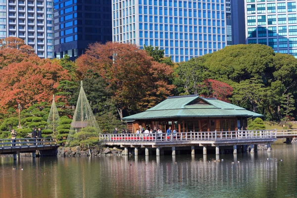 Feuilles d'automne à Hamarikyu Gardens, Tokyo — Photo