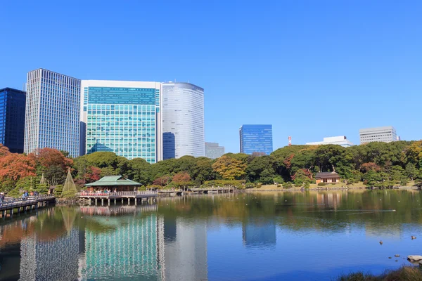 Hojas de otoño en Hamarikyu Gardens, Tokio — Foto de Stock