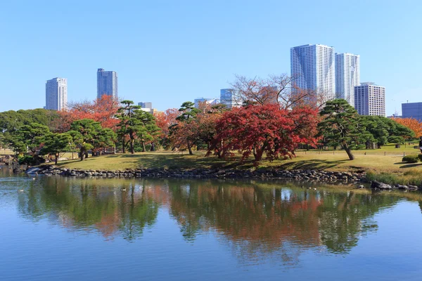 Höstlöv i Hamarikyu Gardens, Tokyo — Stockfoto