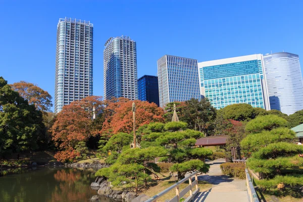 Höstlöv i Hamarikyu Gardens, Tokyo — Stockfoto