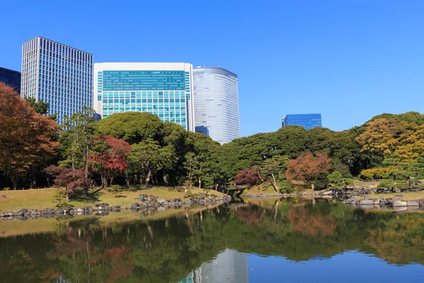 Folhas de outono em Hamarikyu Gardens, Tokyo — Fotografia de Stock