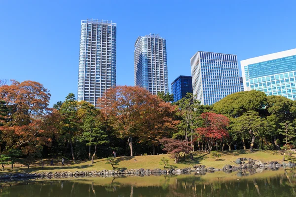 Hamarikyu bahçeleri, Tokyo sonbahar yaprakları