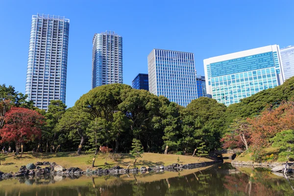 Herfstbladeren in Hamarikyu tuinen, Tokyo — Stockfoto