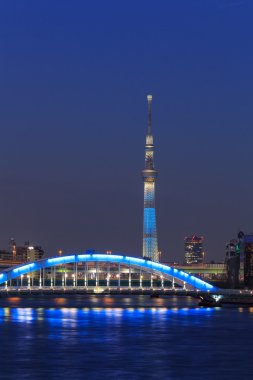 Tokyo Skytree and the Eitai bridge in Tokyo at dusk clipart