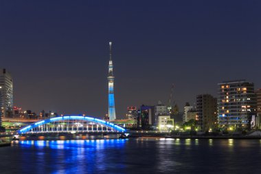 Tokyo Skytree ve alacakaranlıkta Tokyo Eitai Köprüsü