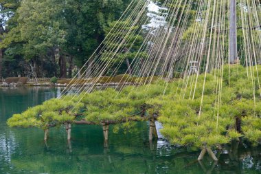 Kenrokuen Bahçe Kanazawa, Japonya