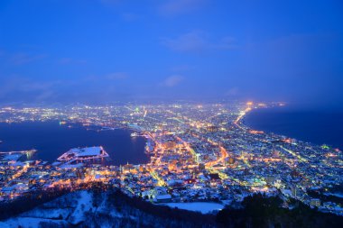 The city of Hakodate in the twilight clipart