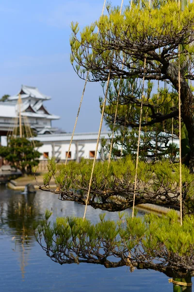 Kanazawa κάστρο — Φωτογραφία Αρχείου