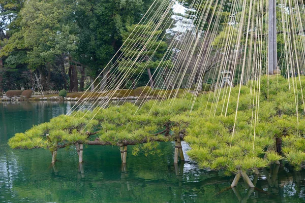 Kenrokuen tuin in Kanazawa, Japan — Stockfoto