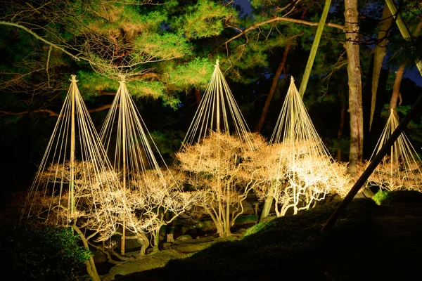 Ogród Kenrokuen w nocy w Kanazawa, Japan — Zdjęcie stockowe