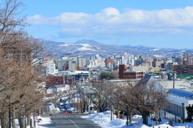 Hakodate, Hokkaido şehrinde Nijukkenzaka
