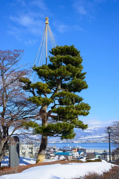 Parc Motomachi à Hakodate, Hokkaido — Photo