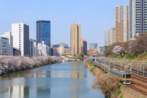Körsbär blommar i Tokyo, Japan — Stockfoto