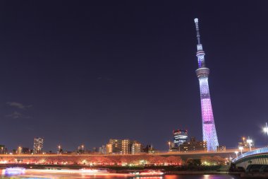Tokyo Tokyo Sky ağaç ve Sumida nehirde geceleri