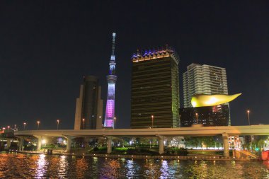 Tokyo Tokyo Sky ağaç ve Sumida nehirde geceleri